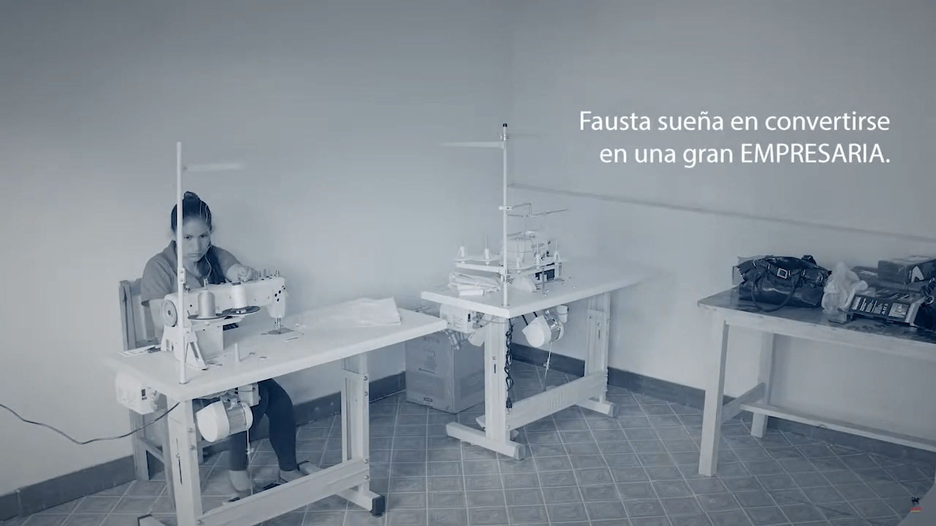 Testimonio, Fausta Alcibia Emprendedora IEET