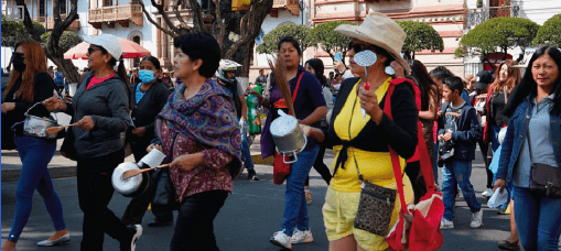 Programa Acción Política de Mujeres
